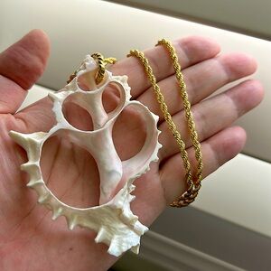 🖤NEW💕HAWAII Sliced shell 🐚 pendant necklace